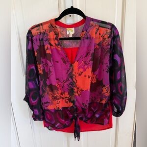 Fig and Flower Anthropologie Purple and Red Floral Blouse Top